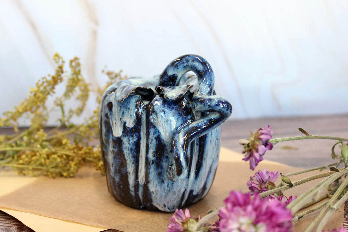 Black & Blue Pumpkin
